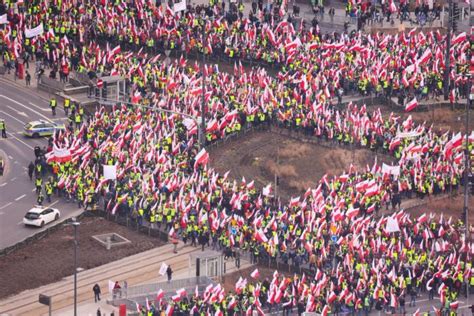  Bunty rolników w Egipcie pod rządami Fatymidów: Wojna społeczna z kalifatem vs. walka o lepsze warunki życia